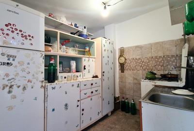 DOUA CASE DE VANZARE - ZONA  RACADAU - SINGUR IN CURTE - 16