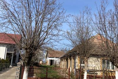 Casă cu 3 camere în Săuca - 7