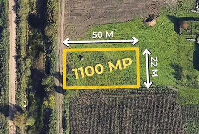 Teren individuala sau duplex 22 front | Timisoara | Plopi Teren individuala sau duplex 22 front | Timisoara | Plopi - 2
