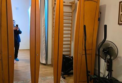Vindem vila cu piscina si teren tenis, Branesti - Pasarea, renovata lux, - 14