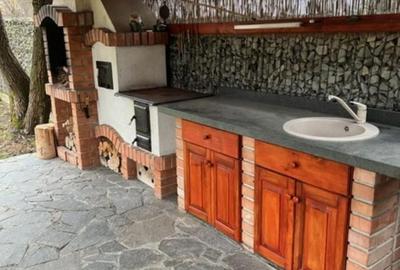 Duplex cu 3 camere cu Teren 500 Mp în Ferneziu - 31