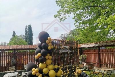 CASA\VILA DE VANZARE \COM. OBREJA\SAT IAZ\CARA?-SEVERIN - 18