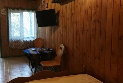 Vanzare pensiune, centrala proprie pe lemne/carbuniproprie pe lemne/carbuni - 11
