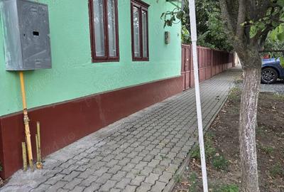 Casa de vanzare in Ortisoara - 2