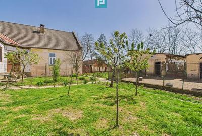 Casă cu Grădină Mare la 30 km de Timișoara - 15