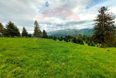 O fereastra catre cer - teren de vis in Fundata, la poalele Bucegilor - 23