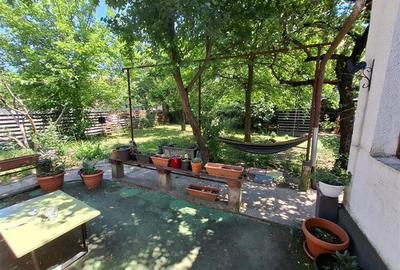 Casă cu 3 camere în Elisabetin