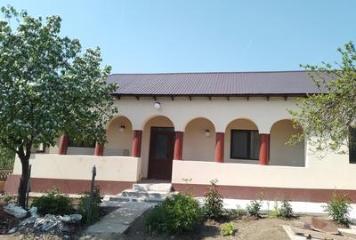 Giurgiu, Comana, Vlad Tepes - 8