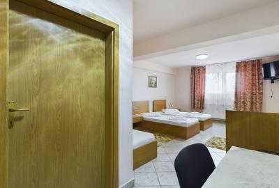 Pensiune in Arad (Vladimirescu) pe DN7 - 6