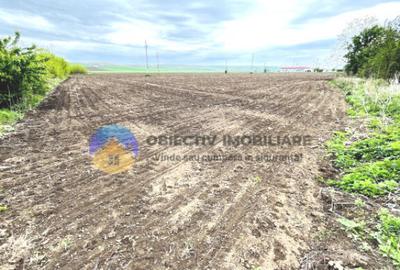 TEREN intravilan PIATRA NEAMT strada Izvoare TEREN intravilan PIATRA NEAMT strada Izvoare - 8