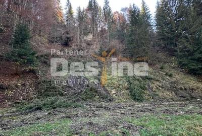 Teren Construcții extravilan de 2882 mp, în Podu Dâmboviței - 2