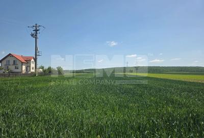 Teren agricol extravilan de 2600 mp, în Mitocu Dragomirnei - 3