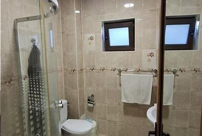 Casa Valea Lupului,Garaj,Beci,Gratar,Mobilata utilata,Teren 600 mp - 11