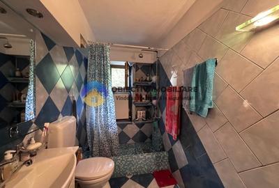 Casa cu priveliste panoramica spre lac si munte - Alexandru cel Bun - 19