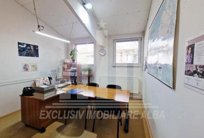 Spatiu industrial de inchiriat in Sebes - 6