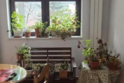 Casă individuală cu 3 camere cu Canalizare în Poiana Țapului - 13