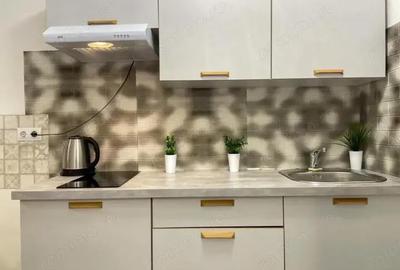 Apartament cu 2 camere de inchiriat in zona Dristor - 2