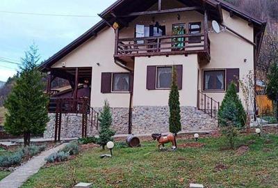 Casă cu 5 camere cu Teren 900 Mp în Râu Sadului - 3