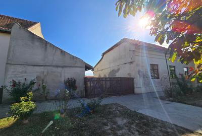 Cenad-Posibilitate Afacere-casa si 669mp teren-Ultracentral - 2