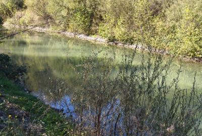 Teren imprejmuit cu iaz indiguit, 7200mp, Fratautii Vechi, R - 8