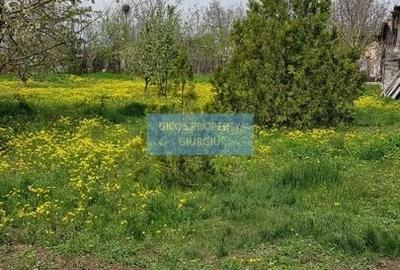 Teren 2.600 mp, utilități, Str. Merișor – Giurgiu - 10