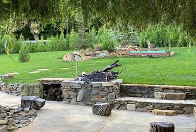 Casa Lux Mediteraniana cu 1820 mp. teren mobilata utilata CETATE cazare pensiune - 9