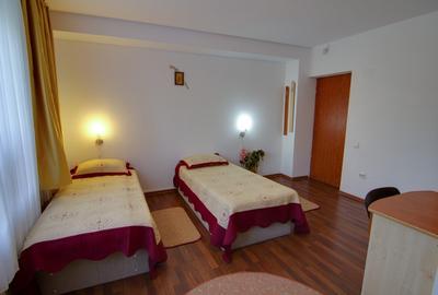 Casă individuală cu 14 camere cu Canalizare în Berceni - 6