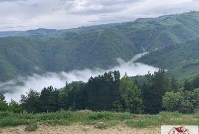 Casa de vanzare in comuna Sasciori cu 84.843 mp teren - 10