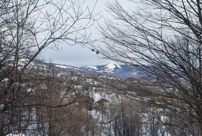 Teren de 12000 mp, în Ghioșești - 1