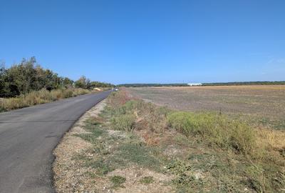 Teren intravilan 7600mp - Stefanestii de Jos, Jud. Ilfov - 2