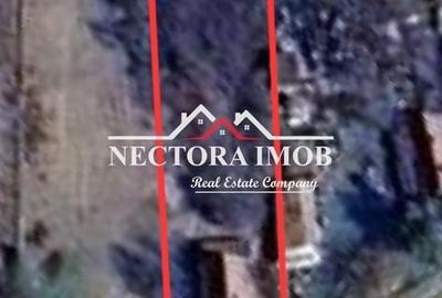 Casă cu 2 camere cu Teren 951 Mp în Paleu - 3