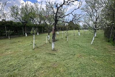 Casă cu Teren 1201 Mp în Călinești - 2