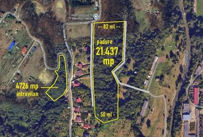 PADURE LANGA ORAS, ACCES BUN, IDEALA PENTRU ACTIVITATI DE AGREMENT - 7