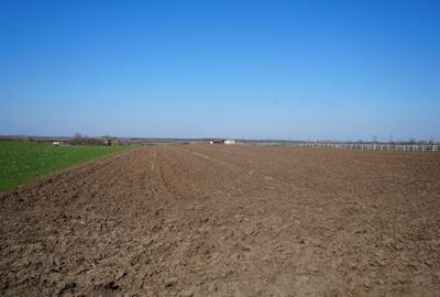 Teren agricol extravilan de 10000 mp, în Zădăreni - 1