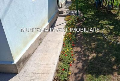 Casă cu 3 camere cu Teren 596 Mp în Central - 1