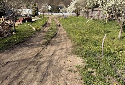 Spațiu comercial, în Central - 2