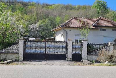 Casă cu 3 camere în Gurasada - 1