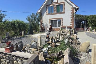 Casa cu piscina, 3450 Mp suprafata teren, Albesti, Mures - 16