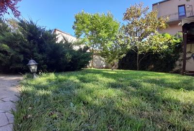 High Class Stirbey speciala reprezentativa si cocheta Cal Victoriei Kogalniceanu - 2