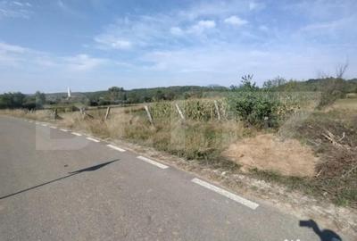 Casă cu 4 camere cu Teren 6700 Mp în Dorolea - 4