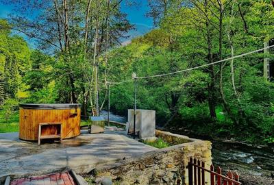 Cabana / casa de vanzare in Baisoara, 285 MP ! Piscina! Ciubar! Cabana / casa de vanzare in Baisoara, 285 MP ! Piscina! Ciubar! - 3