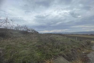 Teren de vanzare, 2900 mp, Cuzdrioara - 1