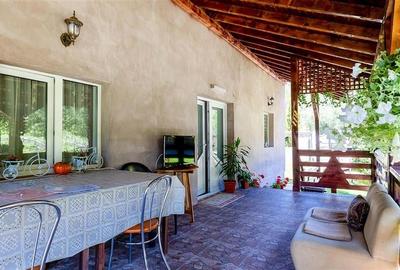 Oaza rustica: Case si teren generos de 9.400 mp in Dambovicioara, Arges Oaza rustica: Case si teren generos de 9.400 mp in Dambovicioara, Arges - 36