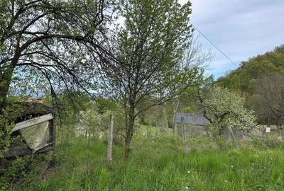 Spațiu comercial, în Central - 2