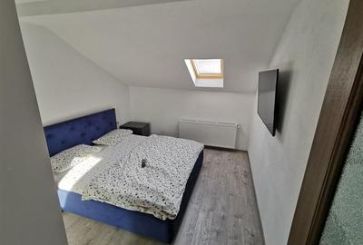 Casa deosebita, pretabila si pentru doua familii, Craiter, Brasov - 5