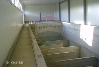 Proprietate industriala de vanzare - 102.420 mp - loc. Zauan jud.Salaj - 8