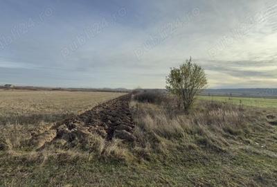 Teren de 4740 mp, în Cihei - 3