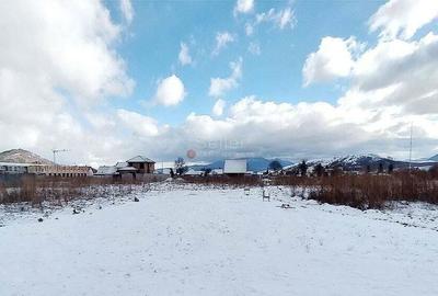 Teren Rezidential Zarnesti - 7