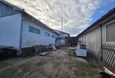 Spațiu comercial, de 287 mp, în Buciumi - 19