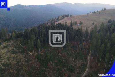 Teren situat in Frasin | BUCOVINA - 5